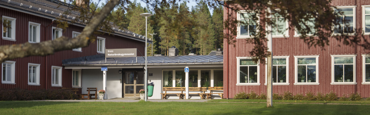 Bild av ingången till Naturbruksgymnasiet.
