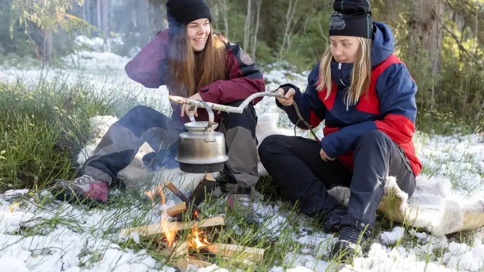Skog i dimma